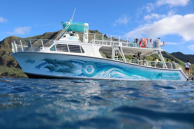 Private Dolphin Swim with Slide for up to 15 Passengers - The 2-Hour Ocean Plan: Spot Dolphins, Then Do It Your Way