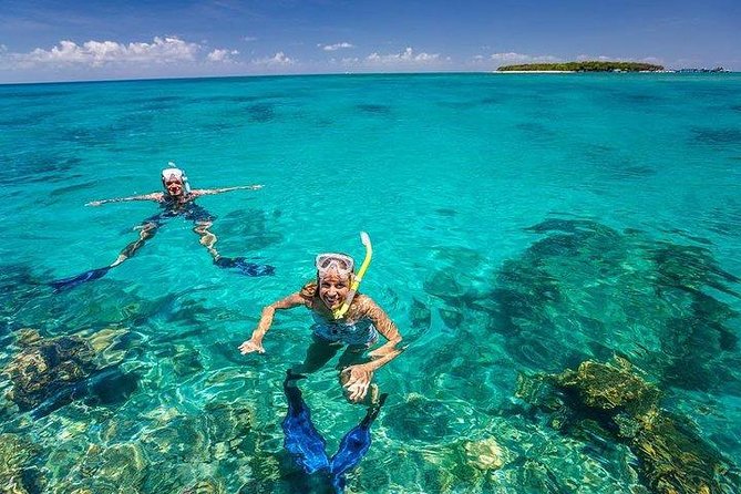 Private Dolphin Tour and Snorkeling at Mnemba Island reef - The sandbank finish: a calm, bright swim that feels like a reward
