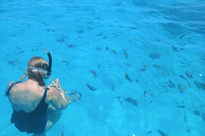 Private Dolphin Tour and Snorkeling at Mnemba Island reef - Price and timing: what you’re paying for (and what can vary)