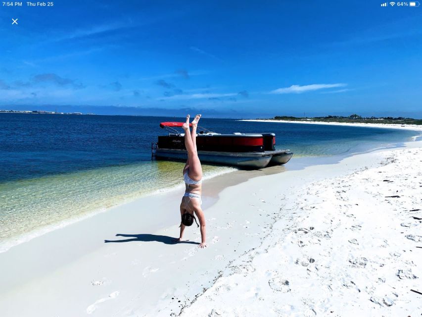 Private Dolphin Tour with Secluded Beach/Snorkel Stop - Key reasons people love this dolphin and beach tour