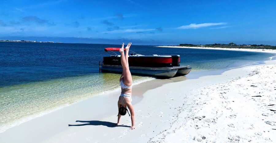 Private Dolphin Tour with Secluded Beach/Snorkel Stop - Who this tour fits best in your Florida plan
