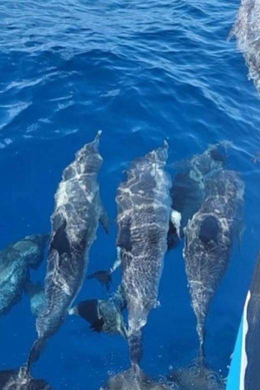 Private Dolphin Watch Boat Tour Port Aransas Texas - Sunset Mode: Lydia Ann Channel Lighthouse Viewing