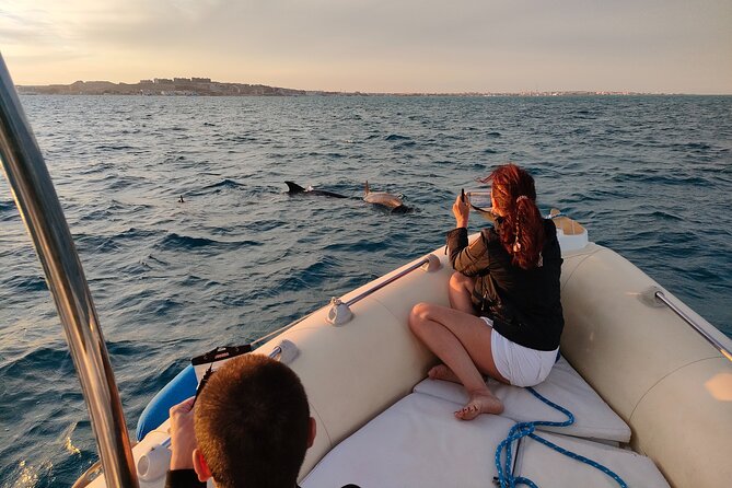 Private Dolphin Watching And Snorkeling Tour - Key Points to Know Before You Go