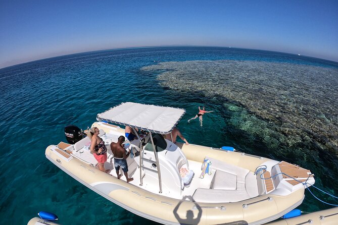 Private Dolphin Watching And Snorkeling Tour - Private Dolphin Watching And Snorkeling From Hurghada: What You’re Really Buying
