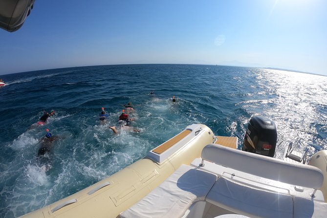 Private Dolphin Watching And Snorkeling Tour - Price and Value: Is $55 Fair for a 4-Hour Private Day?