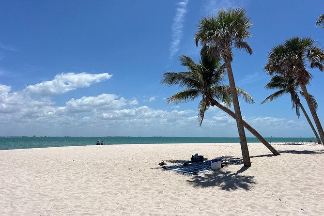 Private Dolphin Watching Beach Day Getaway - Timing, weather, and how conditions shape your day