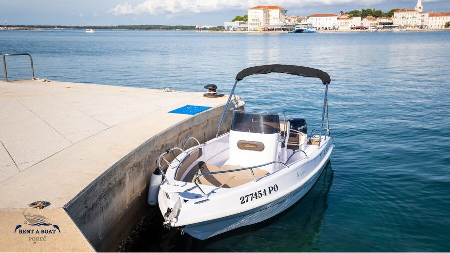 Private Family Dolphin Tour in Poreč - FAQ