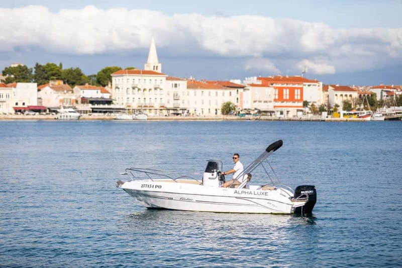 Private Family Dolphin Tour in Poreč - Why a private dolphin cruise from Poreč feels different