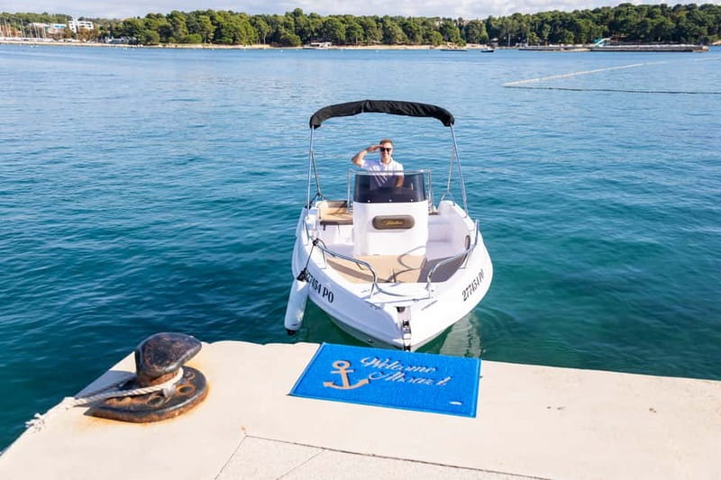 Private Family Dolphin Tour in Poreč - Dolphin spotting in the wild: what you can realistically expect