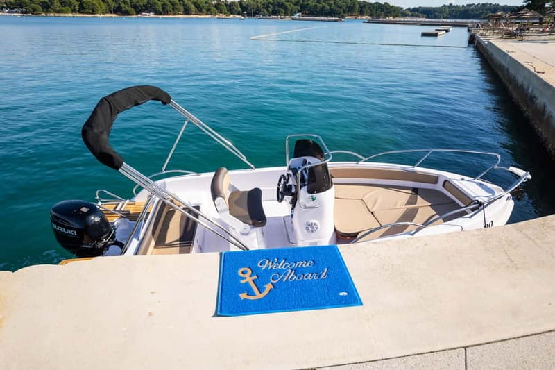 Private Family Dolphin Tour in Poreč - Who should book this tour, and who might want a different style