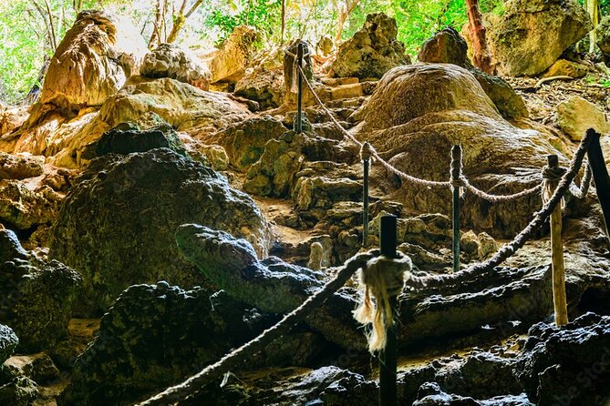 Private Full-Day: Dolphin & Monkey Jungle Adventure - What to bring for a smooth private day