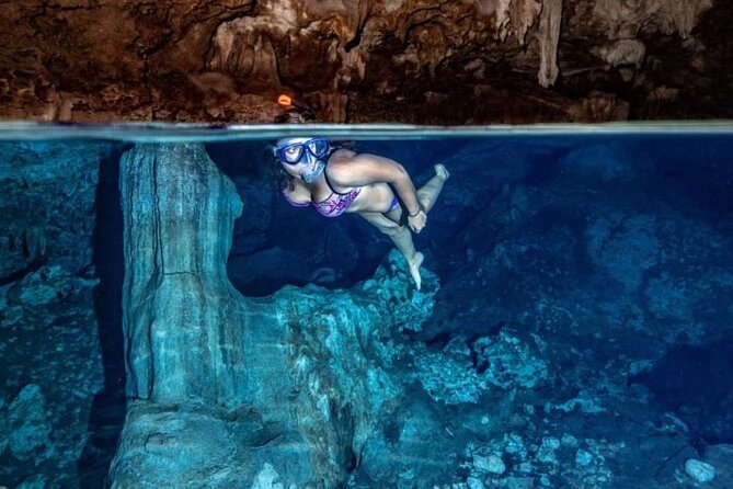 Private Full-Day: Dolphin & Monkey Jungle Adventure - Price and value at $130 per person (what you’re getting)