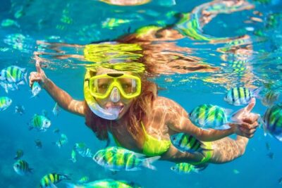 Private Full-Day Lovina Dolphin Watching and Snorkeling Boat Tour - Who should book this private Lovina dolphin and snorkeling day