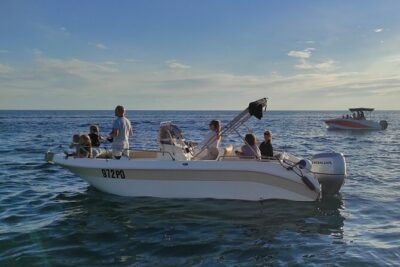 Private Guided Sunset Dolphin Watching in Adriatic Sea - The dolphin hunt: how you actually get to see them