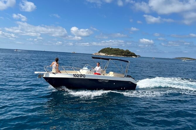 Private Guided Sunset Dolphin Watching in Adriatic Sea - Speedboat comfort: fast, fun, and kid-friendly (with a note)