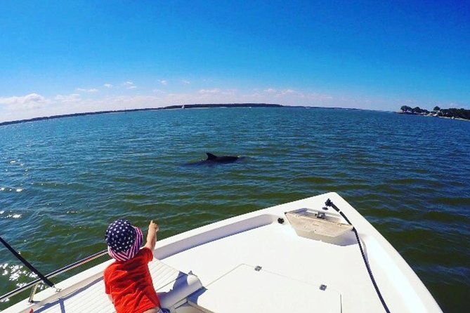 Private Hilton Head Dolphin Tour with Waterfront Dining Stop - The 2 hours 15 minutes game plan: cruising, Harbourtown views, and dining stops