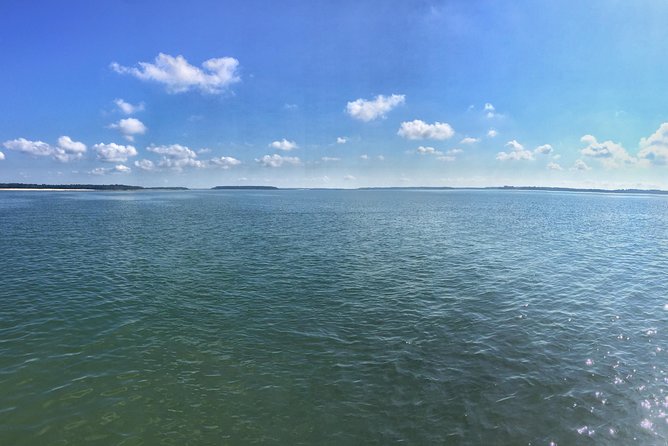 Private Hilton Head Dolphin Tour with Waterfront Dining Stop - Who this tour fits best (and who should consider another option)
