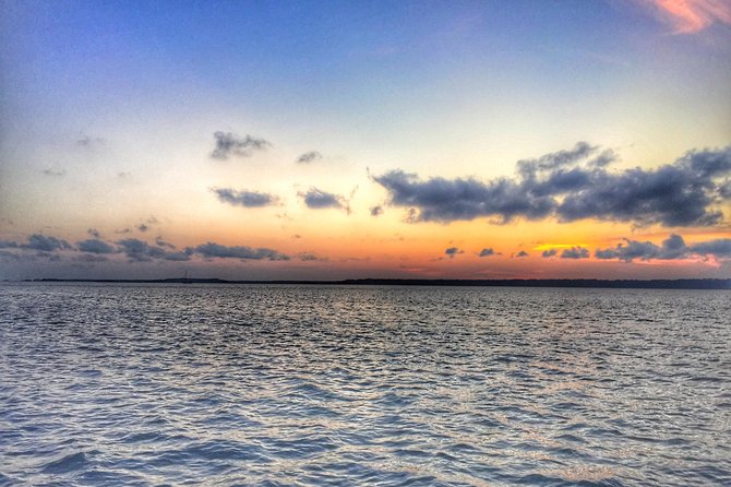 Private Hilton Head Dolphin Tour with Waterfront Dining Stop - Food stops and “local cuisine” expectations: how to plan your budget