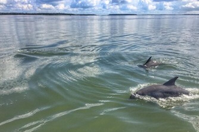 Private Hilton Head Sunset Dolphin Tour - Key Takeaways Before You Go