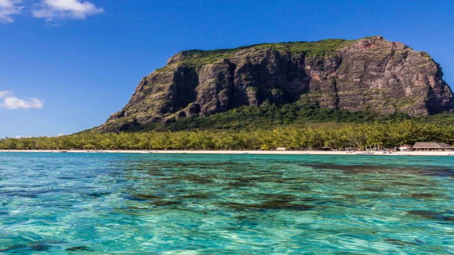 Private Île aux Bénitiers Boat: Dolphin Snorkeling & Lobster - Food and drinks: value check on the all-inclusive open bar