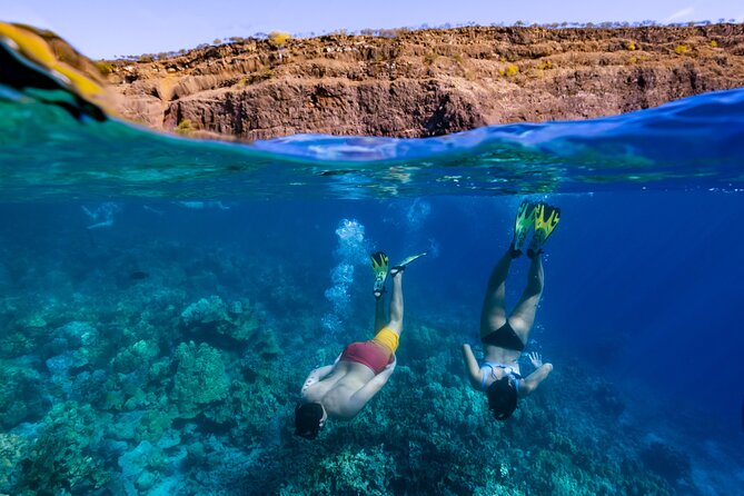 Private Kealakekua Bay Snorkel and Dolphin Watch - Why Kealakekua Bay Snorkeling Works So Well for Families