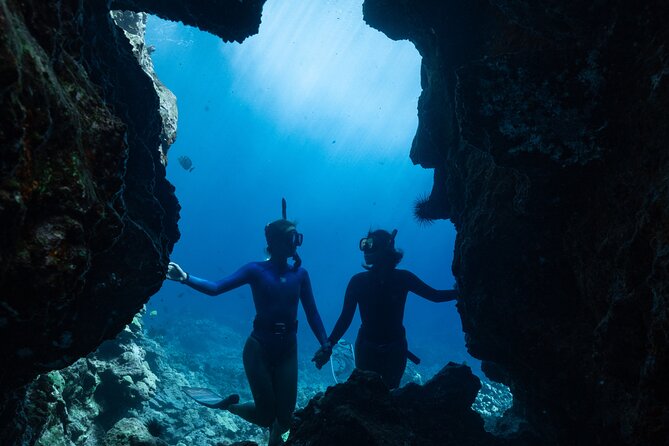 Private Kealakekua Bay Snorkel and Dolphin Watch - Price and Value: $1,500 Per Group Up to 12
