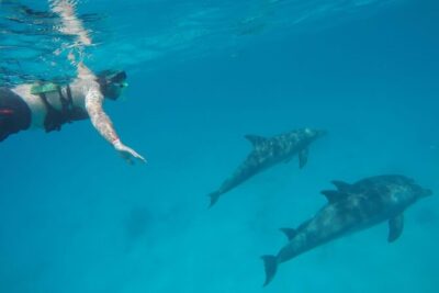 Private Luxury Dolphin House Boat Tour With Lunch - Hurghada - Dolphin House Cruise: How Dolphin Watching Is Handled