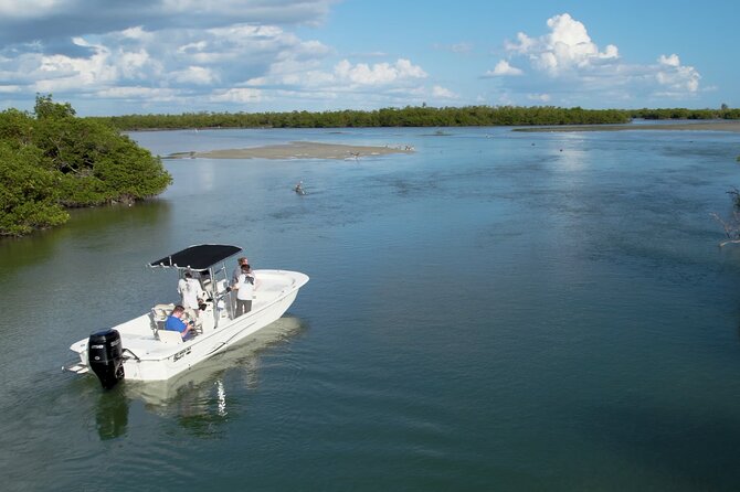 Private Marco Island / 10,000 Islands Sightseeing & Dolphin Tour - Key highlights you’ll actually care about