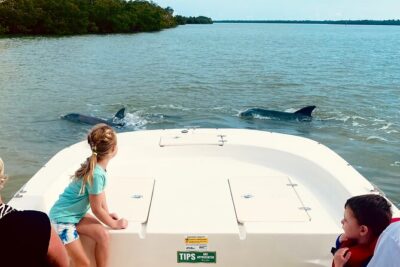 Private Marco Island / 10,000 Islands Sightseeing & Dolphin Tour - Dolphin sightings and how to make them more likely