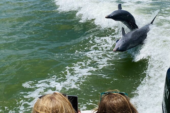 Private Marco Island / 10,000 Islands Sightseeing & Dolphin Tour - The boat setup: comfort for close-up views