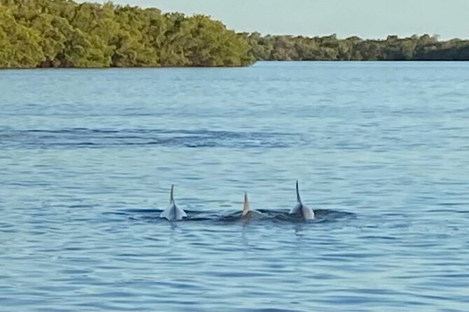 Private ONLY Dolphin Boat Tours - Stop: Southwest Gulf Coast and San Carlos Bay at sunset
