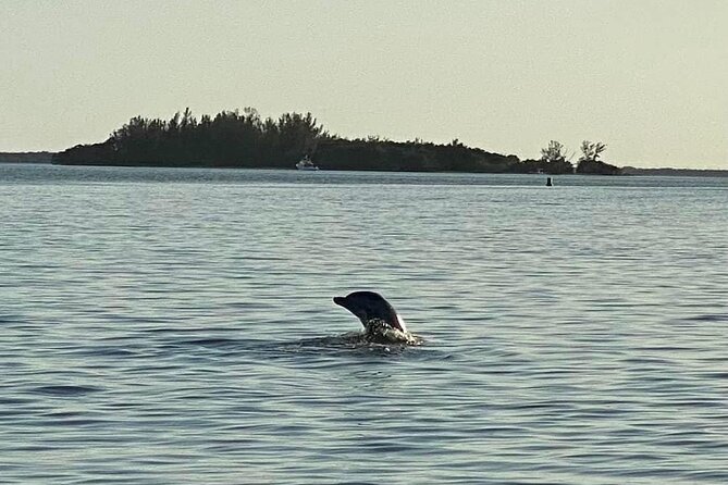 Private ONLY Dolphin Boat Tours - Included perks vs. what you’ll need to bring