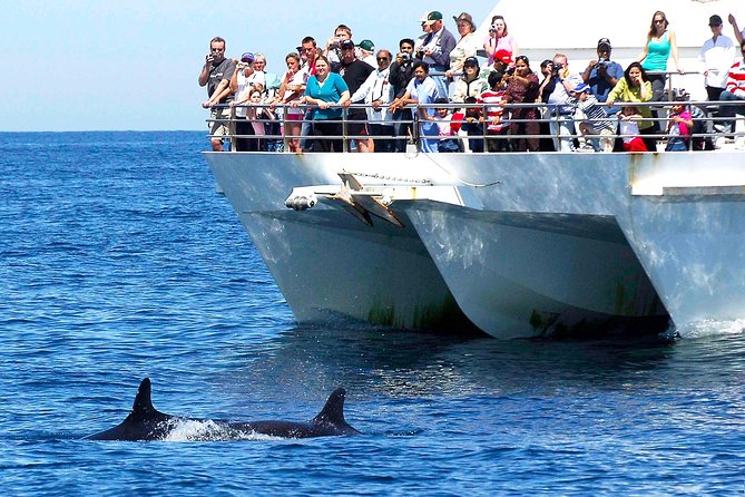 Private Port Stephens Day Trip from Sydney incl Dolphin Cruise - Key Highlights You’ll Actually Care About