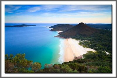 Private Port Stephens Day Trip from Sydney incl Dolphin Cruise - The Real Value: Private Transport Plus a Focused Dolphin Cruise