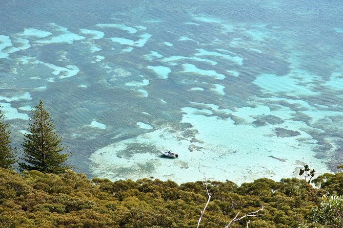 Private Port Stephens Day Trip from Sydney incl Dolphin Cruise - Nelson Bay Dolphin Cruise: The Part You Came For
