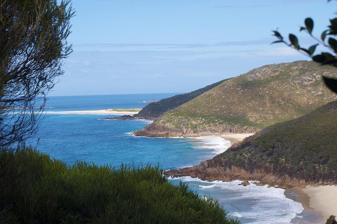 Private Port Stephens Day Trip from Sydney incl Dolphin Cruise - What’s Included vs. What You’ll Pay for On Your Own