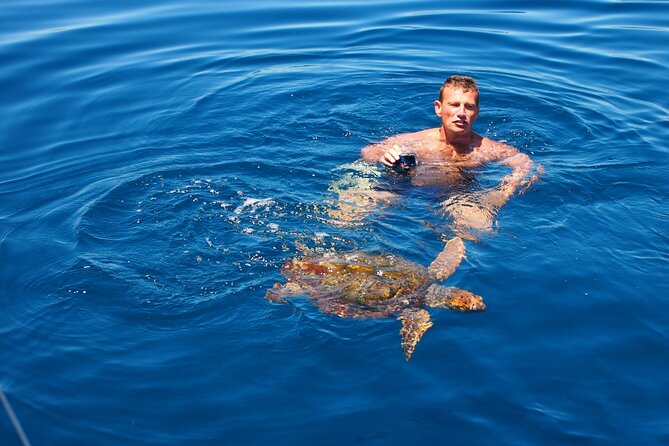 Private Sailing - dolphin Experience Estepona - drink & food - 4h - Smir Park tourist complex: a resort-world change of pace