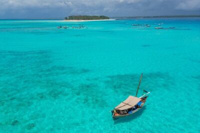 Private/Sharing: Snorkeling with Dolphins Sandbank in Mnemba - Dolphins on the Ride Out: The Part You Can’t Force, Only Time