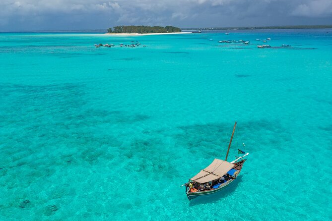 Private/Sharing: Snorkeling with Dolphins Sandbank in Mnemba - Dolphins on the Ride Out: The Part You Can’t Force, Only Time