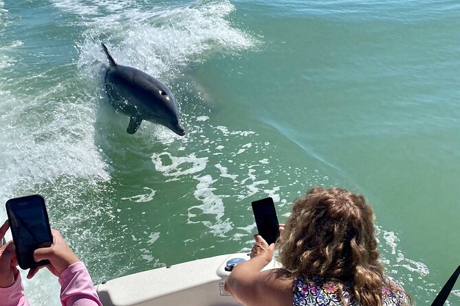 Private Shelling and Dolphin Excursion - Key Points to Know Before You Go
