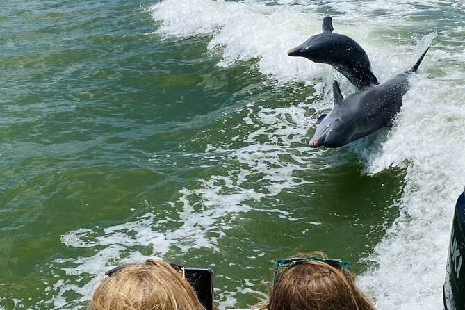 Private Shelling and Dolphin Excursion - Shelling and Dolphin Time Near Naples: What This Trip Delivers