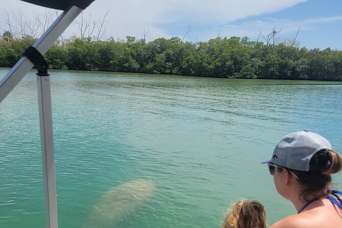 Private Siesta Funship Adventure/Dolphin Cruise Sandbar Stops - The Sandbar Stop: Where the Trip Becomes a Day on Purpose