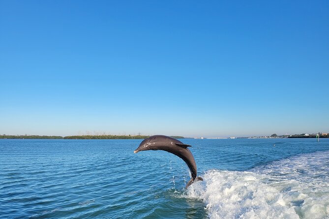 Private Siesta Funship Adventure/Dolphin Cruise Sandbar Stops - Captain Joe, Cosmo, and What a Private Crew Actually Delivers