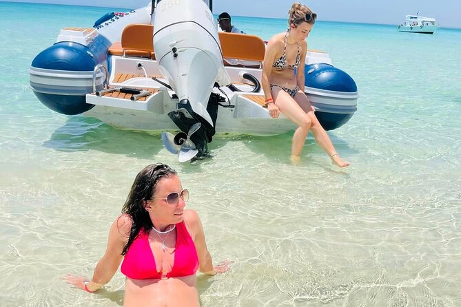 Private Speed Boat 4 Hours to White Island and Dolphin House - Snorkeling at two reefs: the part that rewards good timing