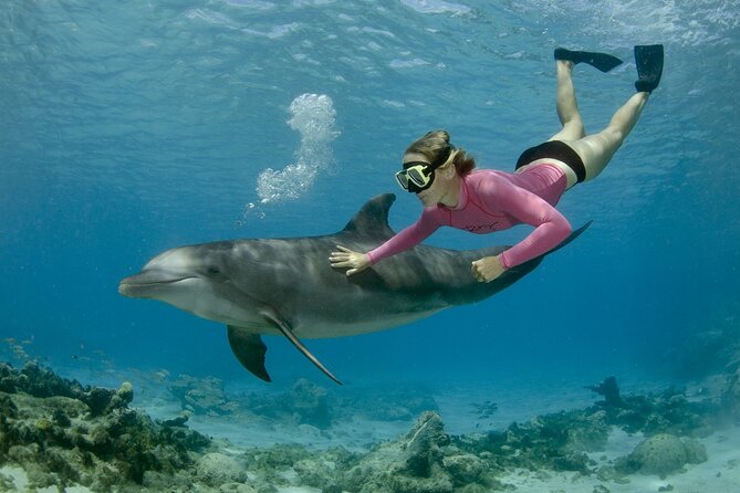 Private Speed Boat Snorkeling with Dolphins Trip - Hurghada - Key reasons this trip is worth a look
