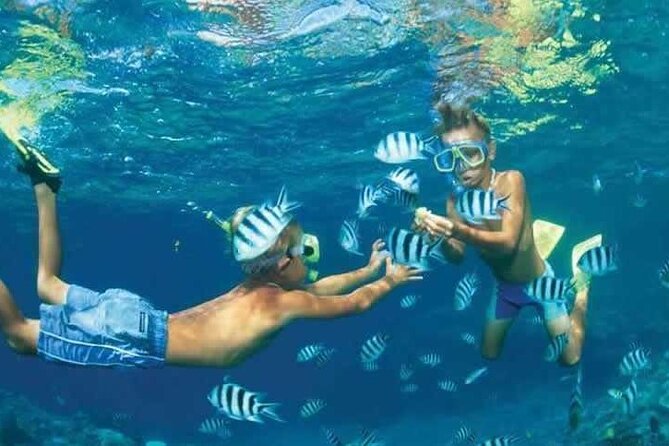 Private Speed Boat Snorkeling with Dolphins Trip - Hurghada - Snorkeling plan: guide-led stops near coral reefs