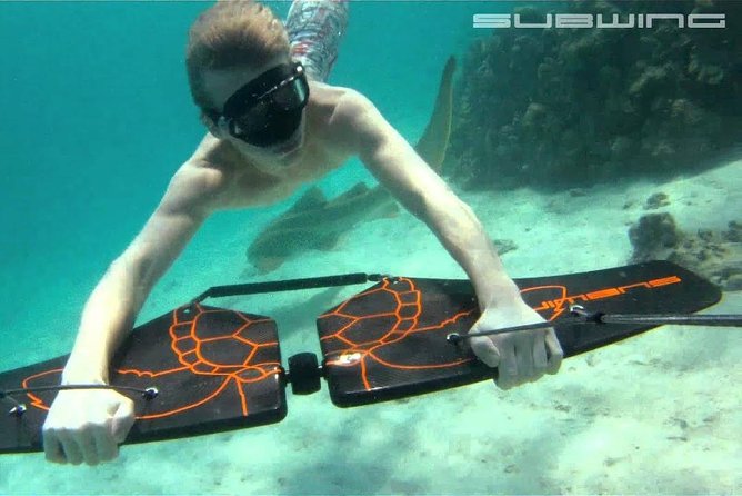 Private Speed Boat & Swim With Dolphins & Water Sports-hurghada - Private Speedboat to Dolphin House: the 45-Minute Water Time