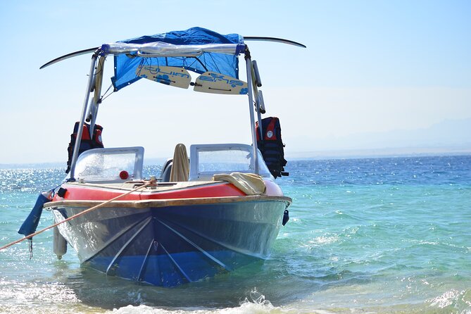 Private Speed Boat & Swim With Dolphins & Water Sports-hurghada - Snorkeling at Dolphin House: Gear, Rhythm, and Dolphin Etiquette