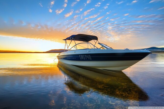 Private Speed Boat Tour and Dolphin Encounter at Ile aux Benitier - Private speed boat dolphin swim: what you’re really buying