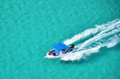 Private Speed Boat Tour and Dolphin Encounter at Ile aux Benitier - Tamarin Bay departure at 6:45 am and the dolphin swim rules
